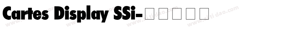 Cartes Display SSi字体转换